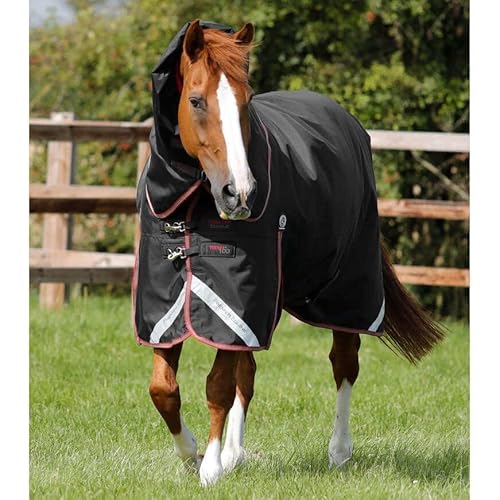 Premier Equine Outdoor-Decke für Pferde mit Nackenrolle Titan 100 g Premier Equine Outdoor-Decke für Pferde mit Nackenrolle Titan 100 g von Premier Equine