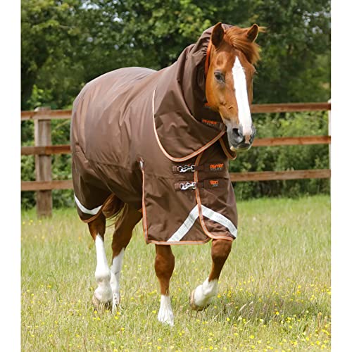 Premier Equine Outdoor-Decke für Pferde mit Nackenrolle Titan 300 g Premier Equine Outdoor-Decke für Pferde mit Nackenrolle Titan 300 g von Premier Equine