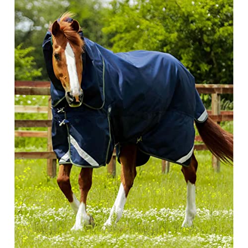 Premier Equine Outdoor-Decke für Pferde mit Nackenrolle Titan 40 g von Premier Equine