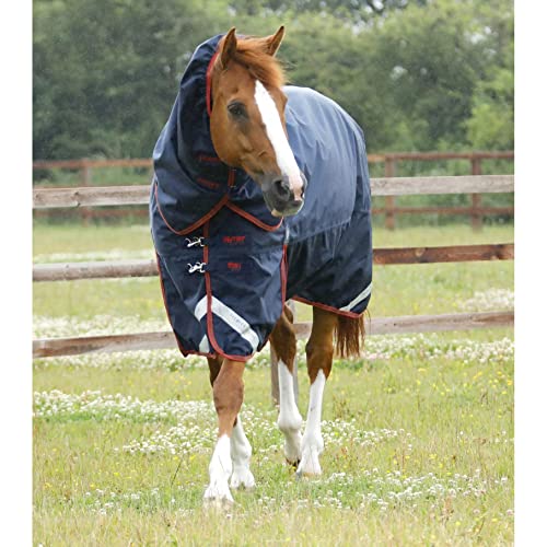 Premier Equine Outdoor-Decke für Pferde mit Nackenrolle Titan 450 g Premier Equine Outdoor-Decke für Pferde mit Nackenrolle Titan 450 g von Premier Equine