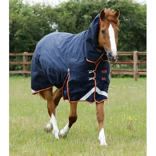 Premier Equine Outdoor-Decke für Pferde mit Nackenrolle Titan Storm 450 g Premier Equine Outdoor-Decke für Pferde mit Nackenrolle Titan Storm 450 g von Premier Equine
