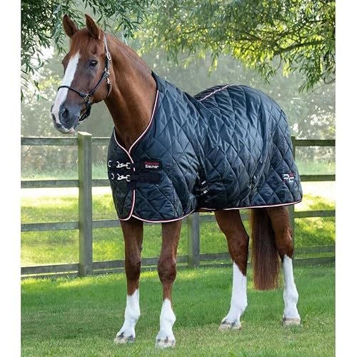 Premier Equine Stalldecke für Pferde Tuscan 100 g von Premier Equine