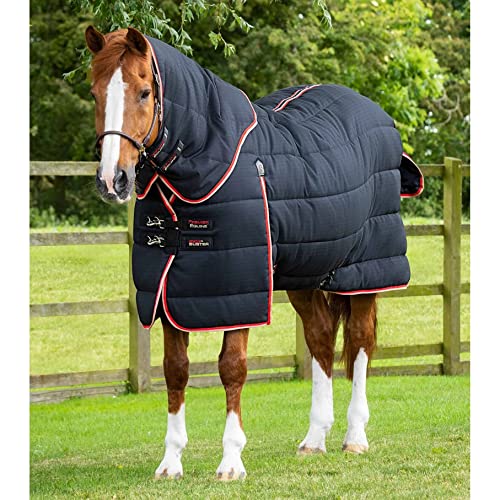 Premier Equine Stalldecke für Pferde mit Halsabdeckung Stable Buster 450 g Premier Equine Stalldecke für Pferde mit Halsabdeckung Stable Buster 450 g von Premier Equine
