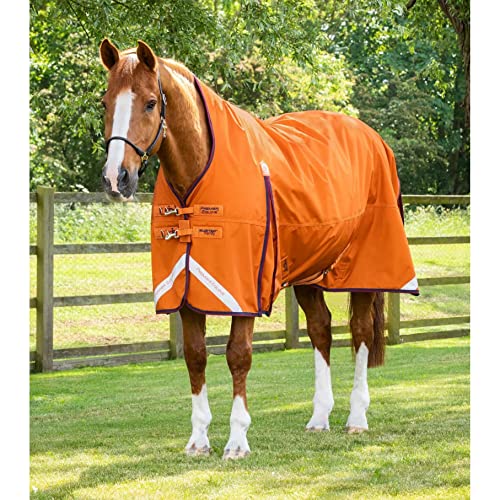 Premier Equine wasserdichte Outdoor-Decke für Pferde Buster Hardy 200 g von Premier Equine