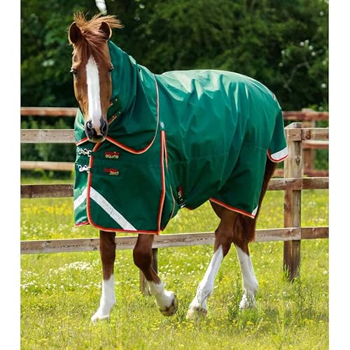 wasserdichte Outdoor-Decke für Pferde mit Halsabdeckung Premier Equine Buster 0 g von Premier Equine