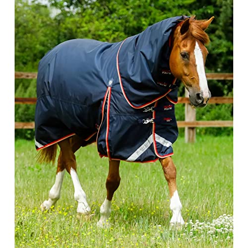 wasserdichte Outdoor-Decke für Pferde mit Halsabdeckung Premier Equine Buster 100 g wasserdichte Outdoor-Decke für Pferde mit Halsabdeckung Premier Equine Buster 100 g von Premier Equine