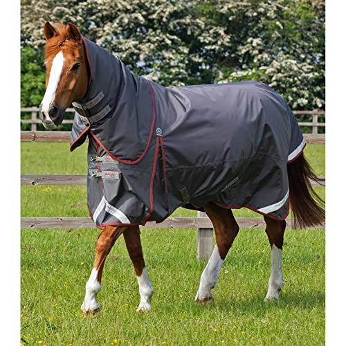 wasserdichte Outdoor-Decke für Pferde mit Halsabdeckung Premier Equine Buster 150 g wasserdichte Outdoor-Decke für Pferde mit Halsabdeckung Premier Equine Buster 150 g von Premier Equine
