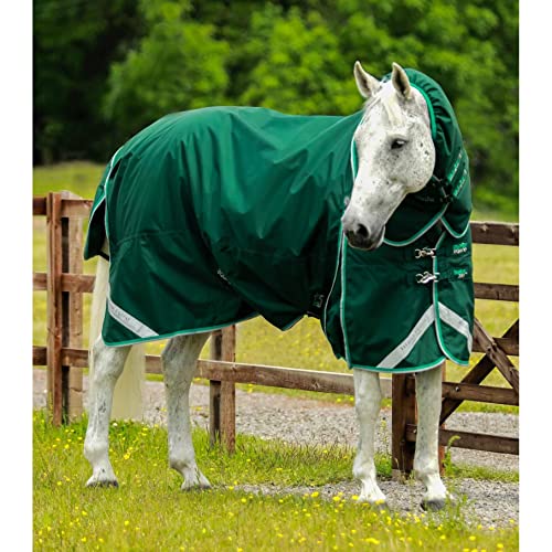 wasserdichte Outdoor-Decke für Pferde mit Halsabdeckung Premier Equine Buster 200 g von Premier Equine