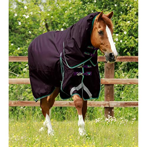 wasserdichte Outdoor-Decke für Pferde mit Halsabdeckung Premier Equine Buster 200 g von Premier Equine
