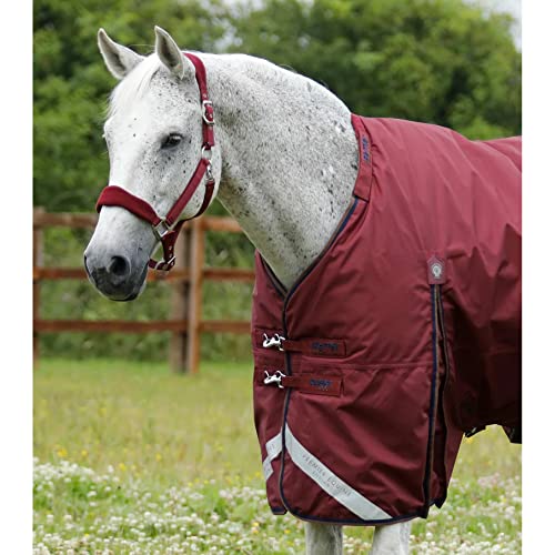 wasserdichte Outdoor-Decke für Pferde mit Halsabdeckung Premier Equine Buster 400 g von Premier Equine