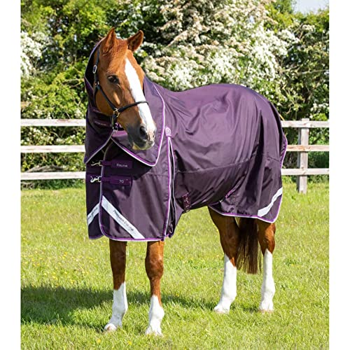 wasserdichte Outdoor-Decke für Pferde mit Halsabdeckung Premier Equine Buster 70 g von Premier Equine