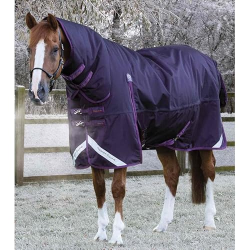 wasserdichte Outdoor-Decke für Pferde mit Halsabdeckung Premier Equine Buster Storm Classic 420 g wasserdichte Outdoor-Decke für Pferde mit Halsabdeckung Premier Equine Buster Storm Classic 420 g von Premier Equine