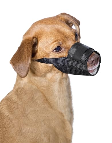 Premier Pet™ Maulkorb für Hunde, Größe M von Premier Pet