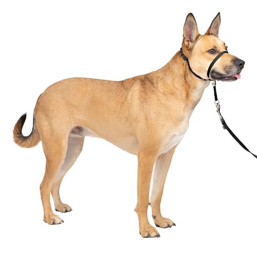 Premier Easy Walk Hundehalsband mit Maulschlinge, schwarz, Größe M von PetSafe