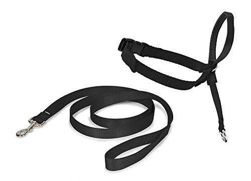 Premier Easy Walk Hundehalsband mit Maulschlinge, schwarz, Größe M von PetSafe