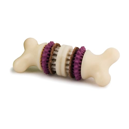 PetSafe Busy Buddy Bristle Bone Kauspielzeug für Hunde, Mit Snack-Ringen aus Rohhaut, Spühlmaschinenfest, Größe M von PetSafe