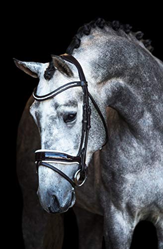 Premiera Verona anatomisches Trensenzaum (warmblut, Braun/weiß) von Premiera