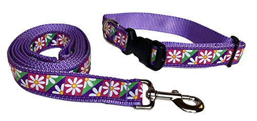 Preston Oopsy Hundehalsband und Leine, Gänseblümchen-Design, buntes Band mit Blumenmuster auf lavendelviolettem Nylon-Gurtband, Größe L von Preston Inc