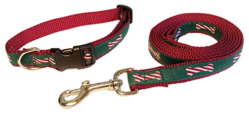 Preston Peppermint Stick Hundehalsband und Leine Set für Weihnachten und Feiertage - Zuckerstange Hundeknochen Design auf grünem Band mit rotem Nylongewebe (Medium) von Preston Inc
