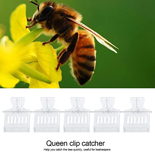 Pretfy 5pcs Kunststoffkönigin Catching Clamp/Holder Bienenfänger Käfig Bienenzuchtwerkzeugausrüstung von Pretfy