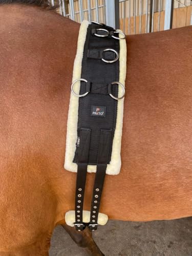 Preto Horse Training Body Roller or Lunging Girth Synthetic Nylon Webbing Fleece/Faux fur Padded Exercise Lunge Roller Girth Anti-Chafing Equestrian Pony Sattelgurt Vollblut Pony Warmblut von Preto