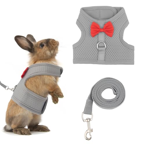 Hasengeschirr mit Leine, süße, graue, verstellbare Netzweste für Hasen, Frettchen, kleine Schweine und Eichhörnchen, Hasenleinenweste aus Netz zum Spazierengehen für 2,5–4,5 kg schwere Hasen Hasengeschirr mit Leine, süße, graue, verstellbare Netzweste für Hasen, Frettchen, kleine Schweine und Eichhörnchen, Hasenleinenweste aus Netz zum Spazierengehen für 2,5–4,5 kg schwere Hasen von Pretwad