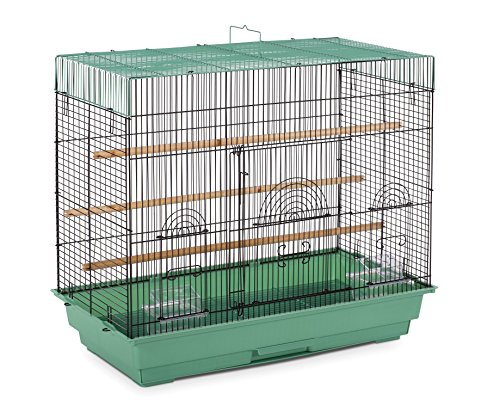 PREVUE PET Products SP1804-4 Flight Cage, grün/schwarz von Prevue Hendryx