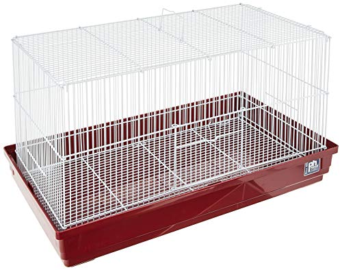Prevue Hendryx SP2060R Deluxe Hamster- und Rennmauskäfig, Bordeauxrot, Größe S Prevue Hendryx SP2060R Deluxe Hamster- und Rennmauskäfig, Bordeauxrot, Größe S von Prevue Hendryx
