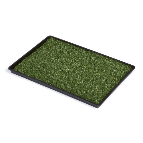 Prevue Hendryx Tinkle Turf – Groß von Prevue Hendryx