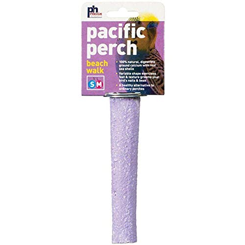 PREVUE PET PRODUCTS bpv1005 natürliche Muschel beachwalk Vogel-Sitzstange, klein, Farben variieren von Prevue Pet Products