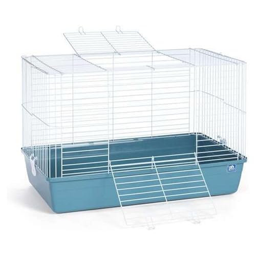 Prevue Pet Products Kleintier-Tubby – Eisblauer Boden, mittelgroß von Prevue Pet Products