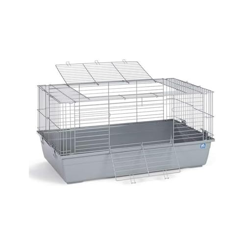 Prevue Pet Products Mittelgroßer, rechteckiger Kleintier-Tubby mit grauem Boden von Prevue Pet Products