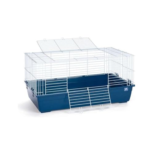 Prevue Pet Products Mittelgroßer rechteckiger Kleintier-Tubby mit marineblauem Boden von Prevue Pet Products