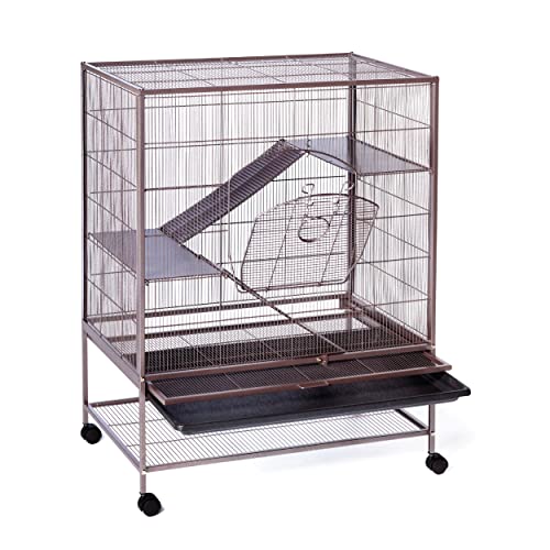 Prevue Pet Products Ratte Chinchilla Baby Frettchenkäfig Metall Home Kiste für Kleintiere, kaufestes Haus mit Lenkrollen, Earthtone Dusted Rose Hammertone Finish von Prevue