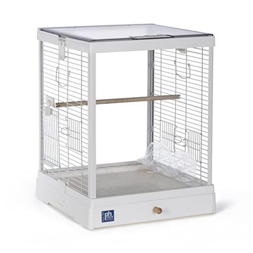 Prevue Pet Products Vogelkäfig aus Glas, transparent, für kleine Vögel, weißer Rahmen Prevue Pet Products Vogelkäfig aus Glas, transparent, für kleine Vögel, weißer Rahmen von Prevue