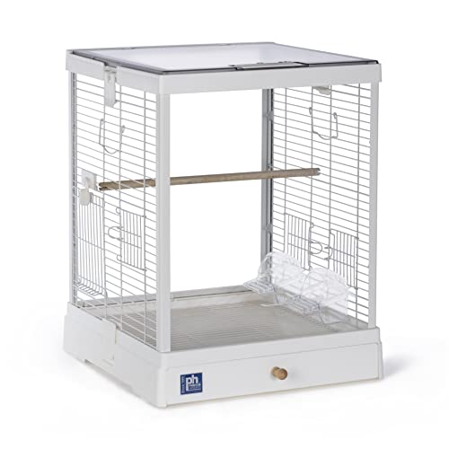 Prevue Pet Products Vogelkäfig aus Glas, transparent, für kleine Vögel, weißer Rahmen von Prevue