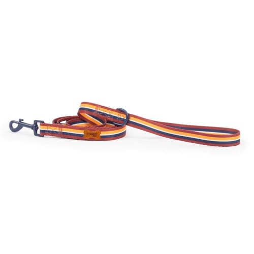 Preziosi Pet - Leine für kleine mittelgroße Hunde und Welpen, Spazierseil aus Nylon, strapazierfähig, Länge 125 cm, Höhe 2 cm. Preziosi Pet - Leine für kleine mittelgroße Hunde und Welpen, Spazierseil aus Nylon, strapazierfähig, Länge 125 cm, Höhe 2 cm. von Preziosi Pet