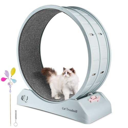 Primachen Katzen-Laufrad für Indoor-Katzen, 80 cm Katzenlaufband mit Bremse, Katzenrad-Trainingsgerät für Katzen Fitness und Gesundheit, einfach zu installieren und für die meisten Katzen geeignet Primachen Katzen-Laufrad für Indoor-Katzen, 80 cm Katzenlaufband mit Bremse, Katzenrad-Trainingsgerät für Katzen Fitness und Gesundheit, einfach zu installieren und für die meisten Katzen geeignet von Primachen