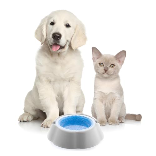 Kühlender Trinknapf für Haustiere | Wassernapf Hunde & Katzen kühlend | Hundenapf, Katzennapf, kaltes Wasser Kühlender Trinknapf für Haustiere | Wassernapf Hunde & Katzen kühlend | Hundenapf, Katzennapf, kaltes Wasser von Primal Internet GmbH