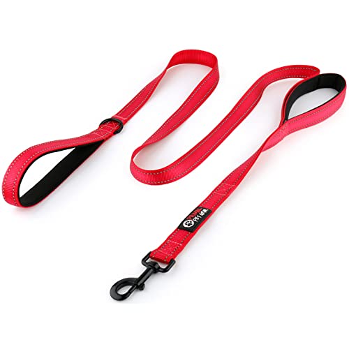 Primal Pet Gear Hundeleine, 1,8 m lang, gepolstert, Zwei Griffe, strapazierfähig, reflektierend, Doppelgriffe für Kontrolle, Sicherheitstraining, Leinen für große Hunde oder mittelgroße Hunde, von Primal Pet Gear