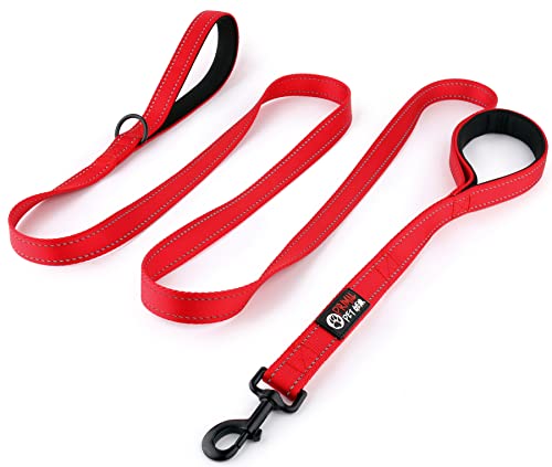 Primal Pet Gear Hundeleine, 2,4 m lang, rot, mit gepolstertem 2 Griffen, robust, doppelte Griffe, Leine für Kontrolle und Sicherheit, für große Hunde oder mittelgroße Hunde, zwei Griffe, Leinen Primal Pet Gear Hundeleine, 2,4 m lang, rot, mit gepolstertem 2 Griffen, robust, doppelte Griffe, Leine für Kontrolle und Sicherheit, für große Hunde oder mittelgroße Hunde, zwei Griffe, Leinen von Primal Pet Gear