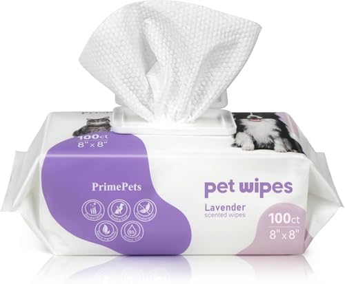 PrimePets Feuchttücher Hund 100 Stück, Pflegetücher Hund 20 x 20 cm, Lavendelduft, Katzen Feuchttücher zur Reinigung von Haut, Ohren, Augen, Po und Zähne PrimePets Feuchttücher Hund 100 Stück, Pflegetücher Hund 20 x 20 cm, Lavendelduft, Katzen Feuchttücher zur Reinigung von Haut, Ohren, Augen, Po und Zähne von PrimePets