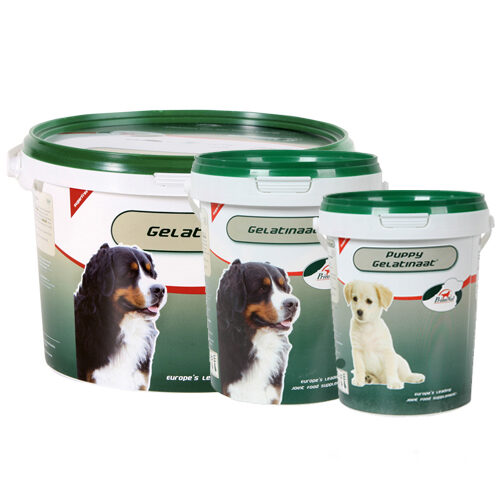 PrimeVal Gelatinaat Hund - 2 kg von PrimeVal