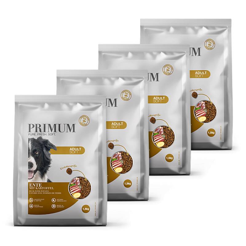 Primum | Ente mit Kartoffel | Soft Adult | 4 x 1,5 kg von Primum