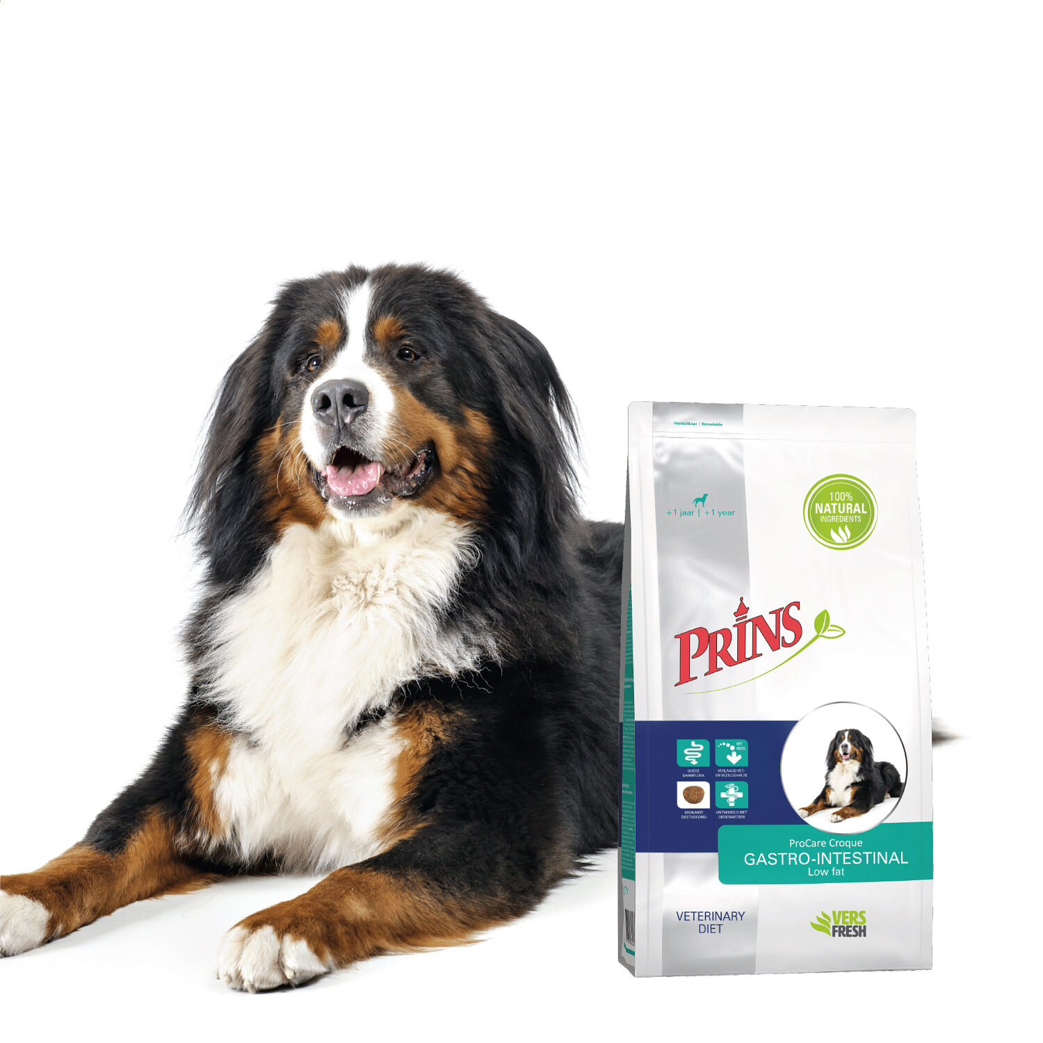 Prins ProCare Croque Veterinary Diet Gastro-Intestinal Low Fat - 2 x 3 kg von Prins