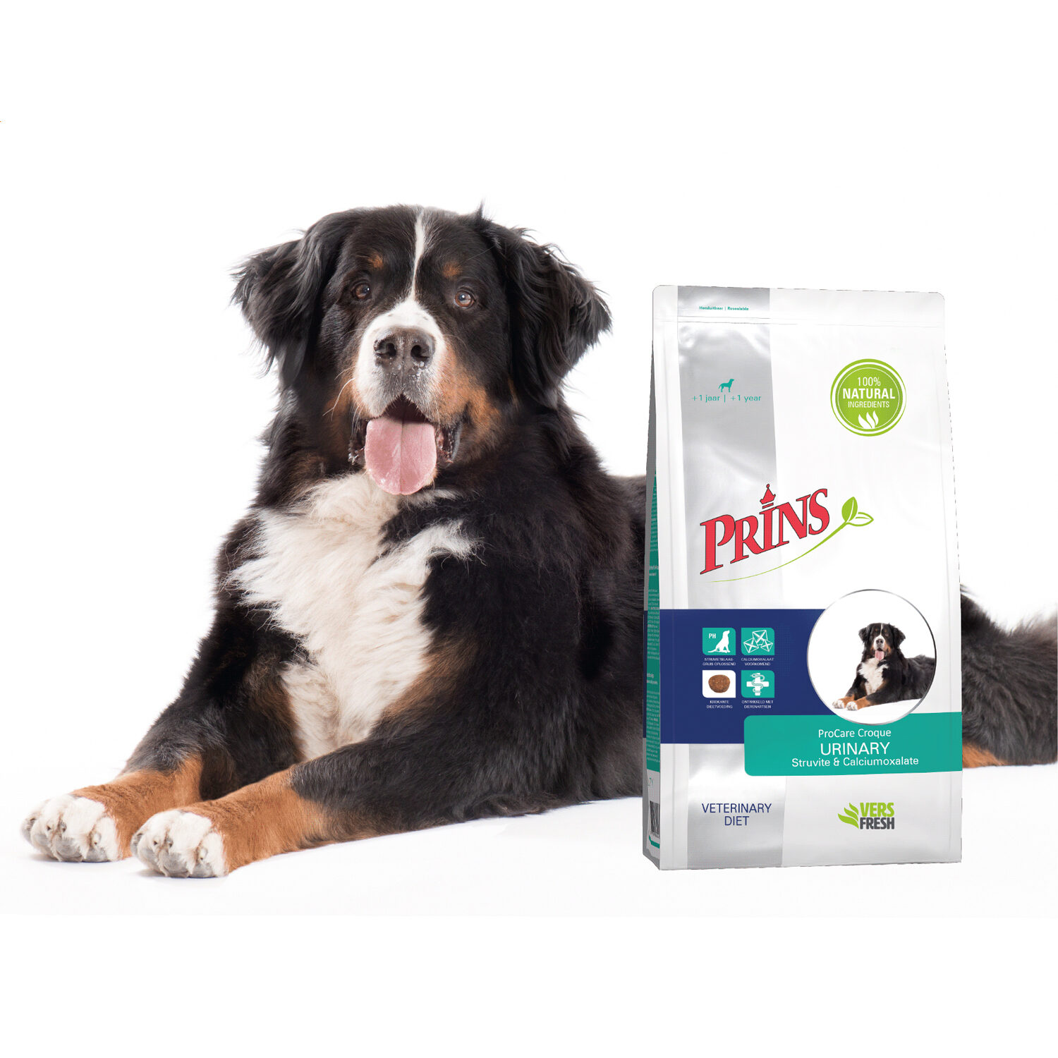 Prins ProCare Croque Veterinary Diet Urinary Struvite & Calciumoxalate - 2 x 3 kg von Prins