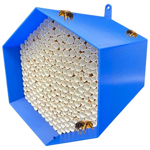 Wildbienen-Nisthilfe – absolut haltbar & wetterfest. Insektenhotel mit 300 Nisthülsen. Hochwertiges Wildbienenhotel für Gartenfreunde (Blau) von Printin3D
