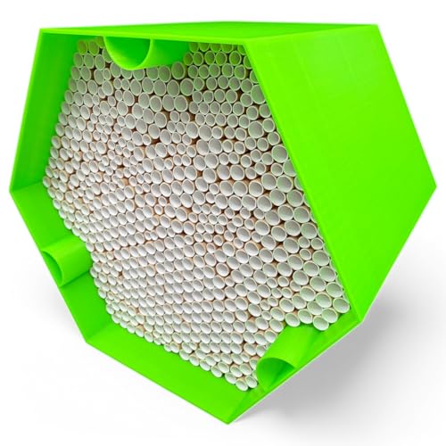 Wildbienen-Nisthilfe – absolut haltbar & wetterfest. Insektenhotel mit 600 Nisthülsen. Hochwertiges Wildbienenhotel für Gartenfreunde (Grün, Nur Bienenhotel) von Printin3D