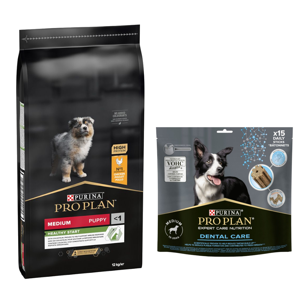 12 kg PURINA PRO PLAN Puppy + passender Snack gratis! - Medium Healthy Start + Dental Care Medium Dog 345 g 12 kg PURINA PRO PLAN Puppy + passender Snack gratis! - Medium Healthy Start + Dental Care Medium Dog 345 g von Pro Plan