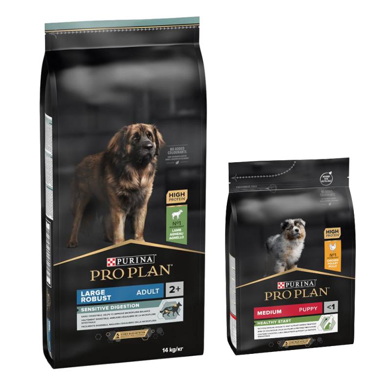 14 kg PURINA PRO PLAN Adult + 3 kg passendes Trockenfutter gratis! - 14 kg Large Robust Lamm & Reis Sensitive Digestion + 3 kg Medium Puppy Healthy Start 14 kg PURINA PRO PLAN Adult + 3 kg passendes Trockenfutter gratis! - 14 kg Large Robust Lamm & Reis Sensitive Digestion + 3 kg Medium Puppy Healthy Start von Pro Plan